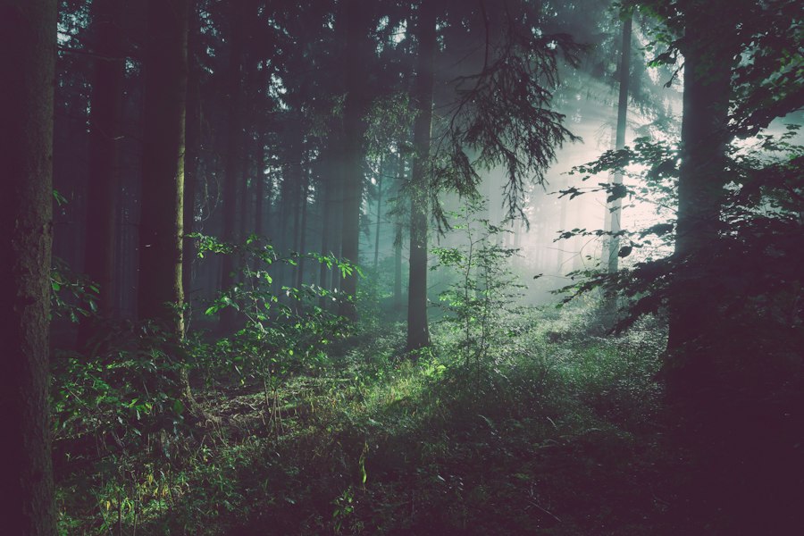 Gelenkschmerzen bei Wetterwechsel: Mythos oder wissenschaftliche Realität?